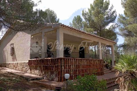 Landejendom i Ayora, Valencia, Ayora - € 186.000 | Ref: SF0459 - foto 25